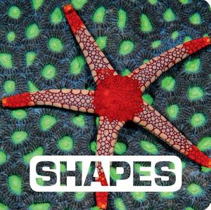 Shapes image number 0