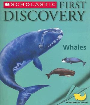 First Discovery Whales image number 0