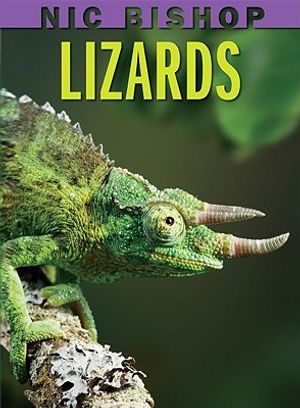 Lizards image number 0