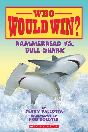 Hammerhead vs. Bull Shark image number 0
