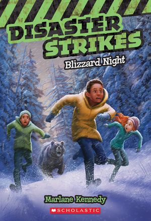 Blizzard Night (Disaster Strikes #3), 3 image number 0