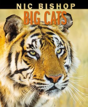 Nic Bishop Big Cats image number 0