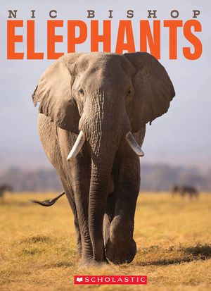 Nic Bishop Elephants image number 0