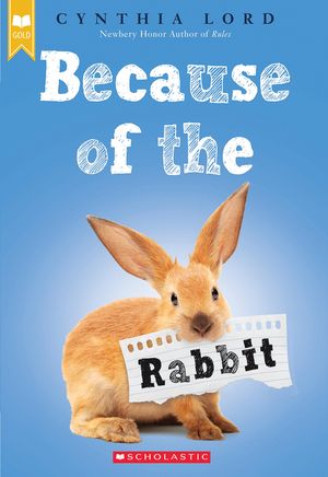 Because of the Rabbit image number 0