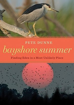Bayshore Summer: Finding Eden in a Most Unlikely Place image number 0