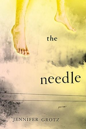 The Needle image number 0