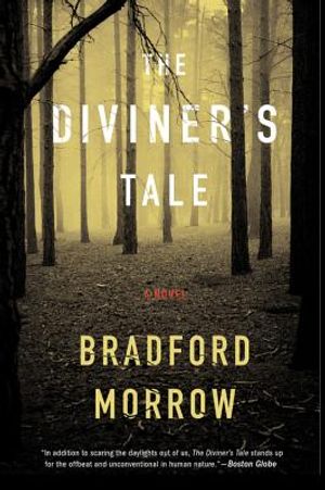 The Diviner's Tale image number 0