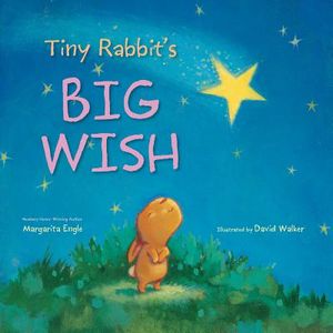 Tiny Rabbit's Big Wish image number 0