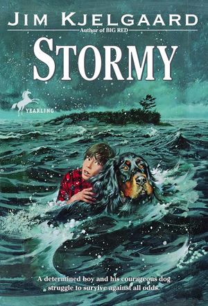 Stormy image number 0