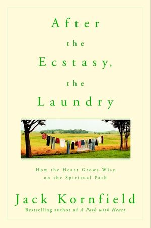 After the Ecstasy, the Laundry: How the Heart Grows Wise on the Spiritual Path image number 0
