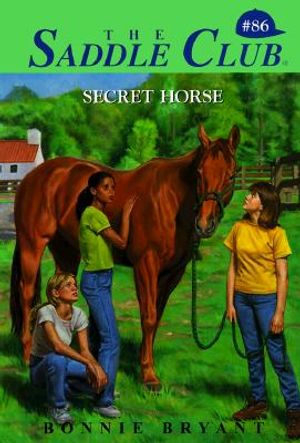 Secret Horse image number 0