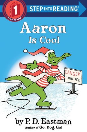 Aaron Is Cool image number 0