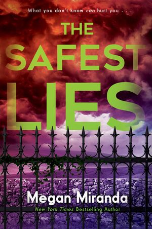 The Safest Lies image number 0
