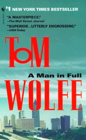 A Man in Full image number 0