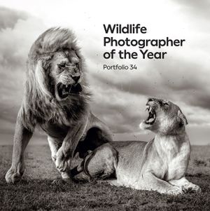 Wildlife Photographer of the Year: Portfolio 34: Volume 34 image number 0
