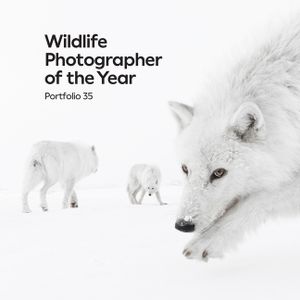 Wildlife Photographer of the Year: Portfolio 35: Volume 35 image number 0