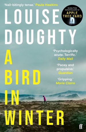 A Bird in Winter: 'Nail-Bitingly Tense and Compelling' Paula Hawkins image number 0