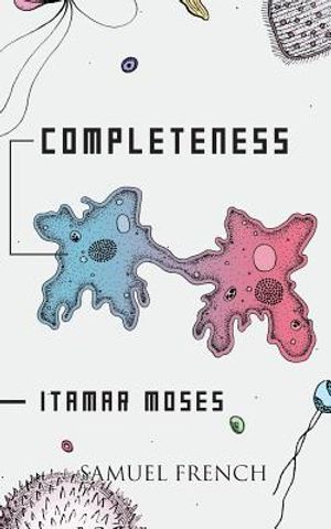 Completeness image number 0