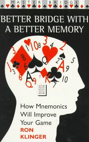 Better Bridge with Better Memory image number 0