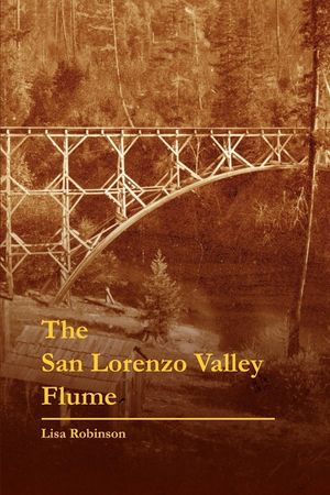 The San Lorenzo Valley Flume image number 0