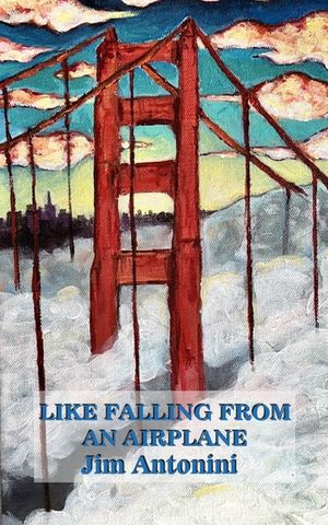 Like Falling from an Airplane image number 0
