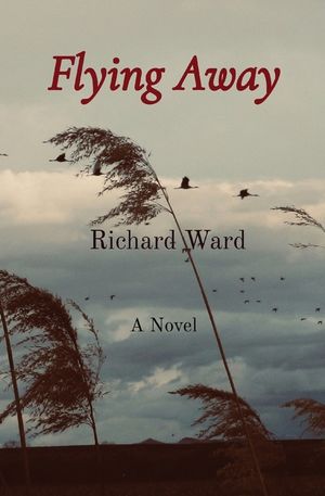 Flying Away image number 0