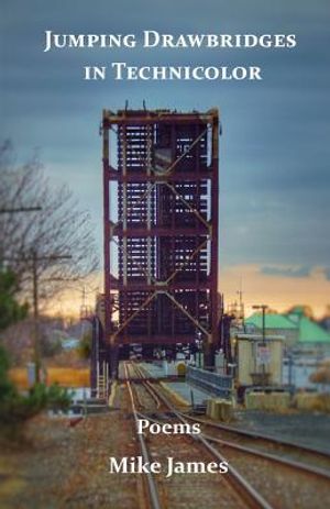 Jumping Drawbridges in Technicolor: Poems image number 0