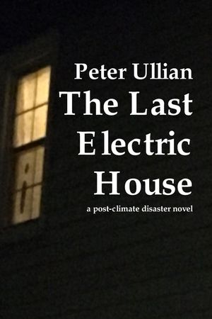 The Last Electric House: a post-climate disaster novel image number 0
