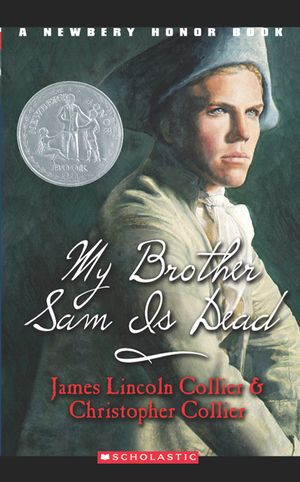 My Brother Sam Is Dead image number 0