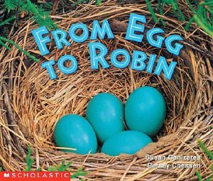 From Egg to Robin image number 0