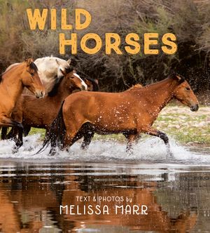 Wild Horses image number 0