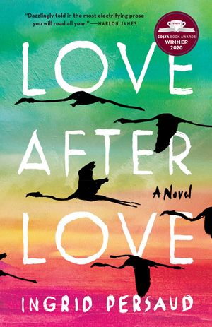 Love After Love image number 0