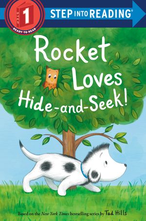 Rocket Loves Hide-And-Seek! image number 0