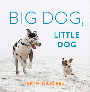 Big Dog, Little Dog image number 0