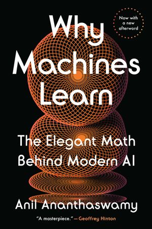 Why Machines Learn: The Elegant Math Behind Modern AI image number 0