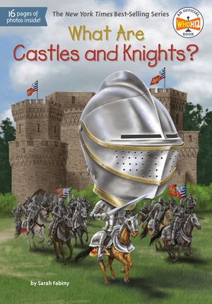 What Are Castles and Knights? image number 0