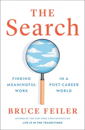 The Search: Finding Meaningful Work in a Post-Career World image number 0