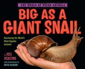 Big as a Giant Snail image number 0