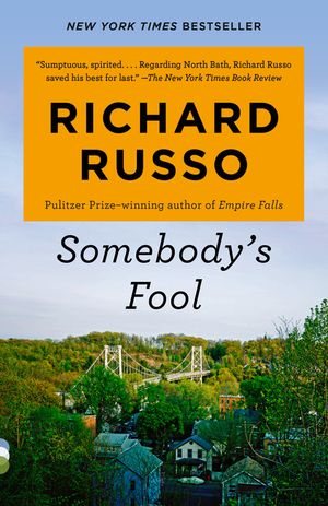 Somebody's Fool image number 0