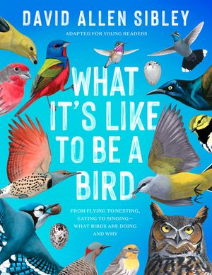 What It's Like to Be a Bird (Adapted for Young Readers): From Flying to Nesting, Eating to Singing--What Birds Are Doing, and Why image number 0