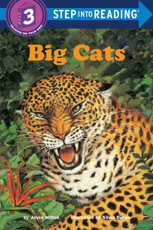 Big Cats image number 0