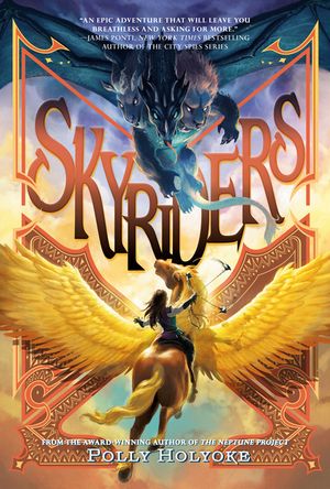 Skyriders image number 0