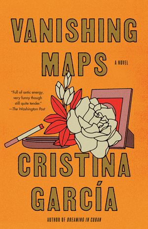 Vanishing Maps image number 0