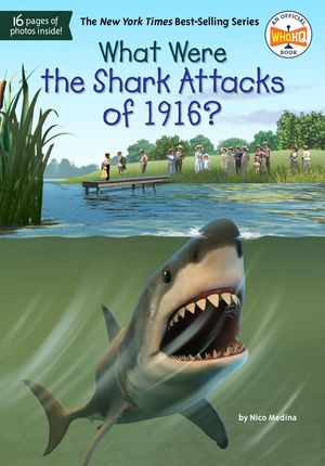 What Were the Shark Attacks of 1916? image number 0