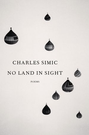 No Land in Sight: Poems image number 0