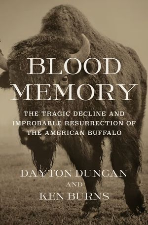 Blood Memory: The Tragic Decline and Improbable Resurrection of the American Buffalo image number 0