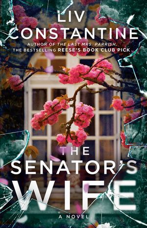 The Senator's Wife image number 0