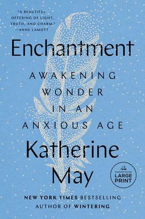 Enchantment: Awakening Wonder in an Anxious Age image number 0