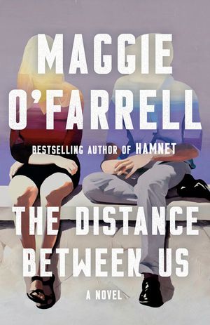 The Distance Between Us image number 0