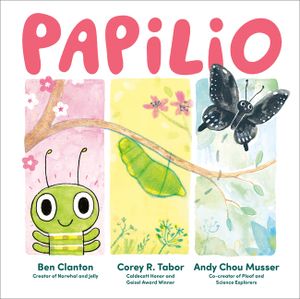 Papilio image number 0